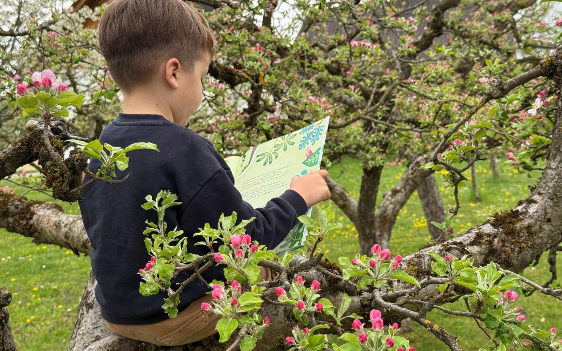Lesespaziergang Bibliothek Dobl